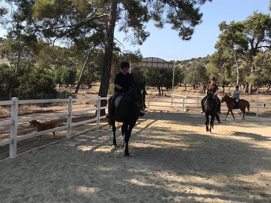 Aphrodite Hills Riding Club